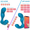Smart Prostate Massager - Dual Motors & APP Control
