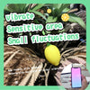 Lemon kegel ball - Bluetooth App Controlled Mini Massager