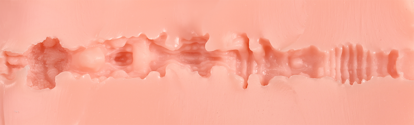 Rose Double-End Vagina & Anus Male Masturbator